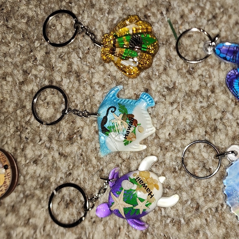 Hawaii Keychains - Picture 8 of 9